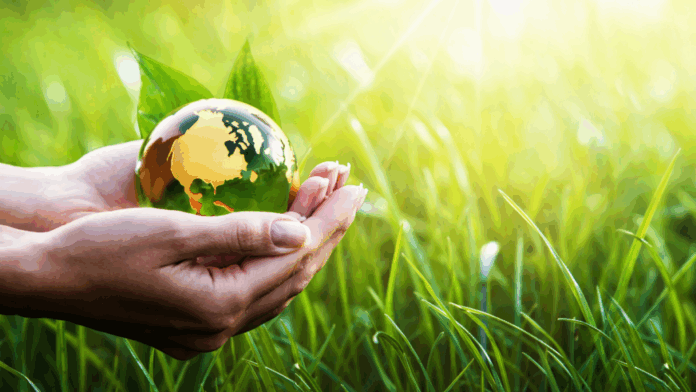 sostenibilita-ambientale-passaggi-per-rendere-la-tua-azienda-piu-verde